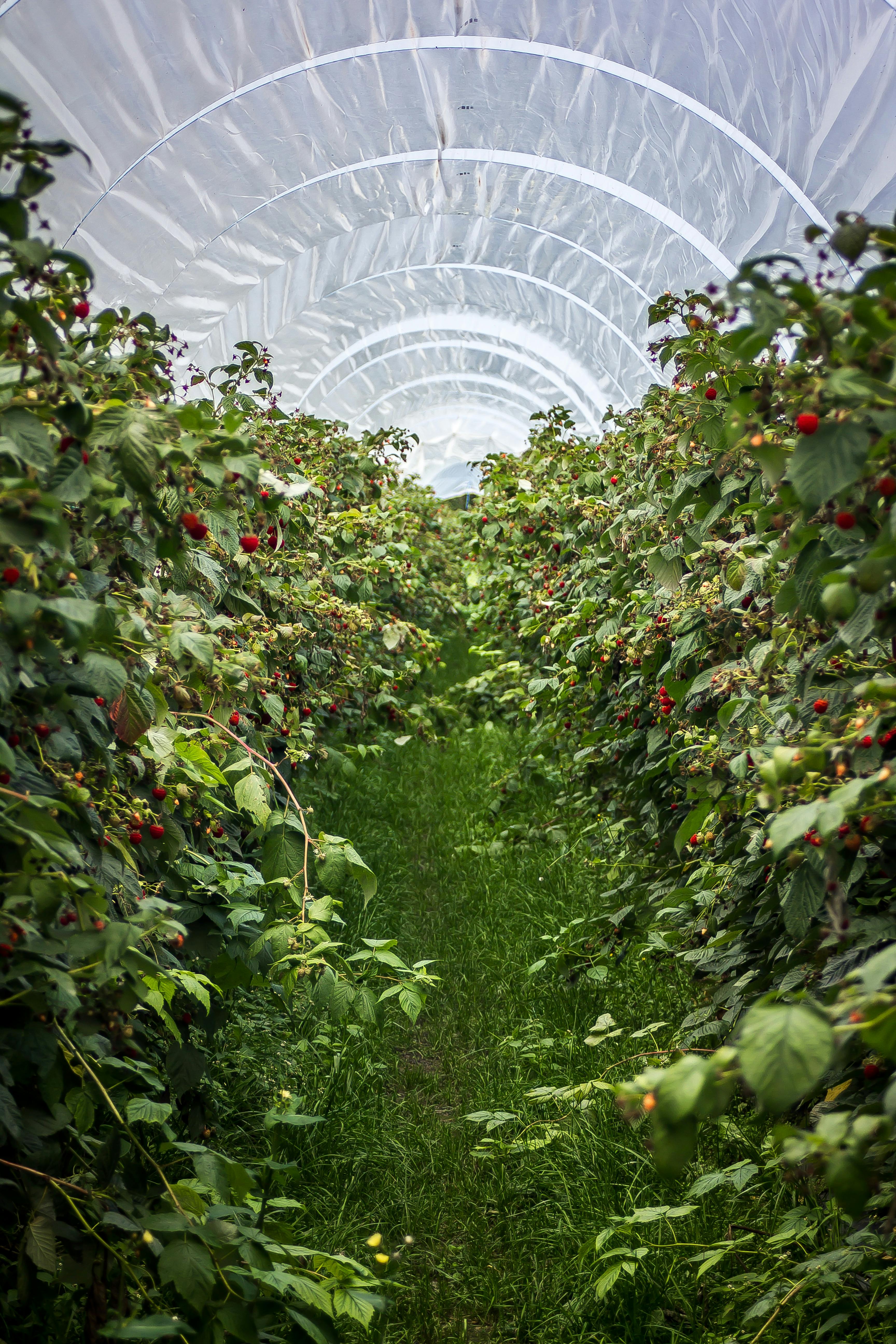 Corridor Image 16
